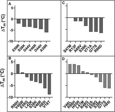 Prediction of Residue-specific Contributions to Binding and Thermal Stability Using Yeast Surface Display